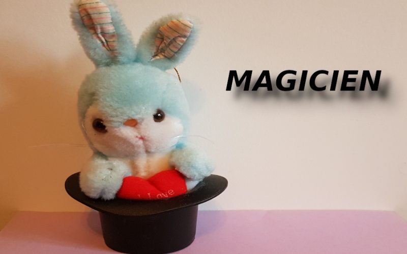 lapin en peluche et chapeau